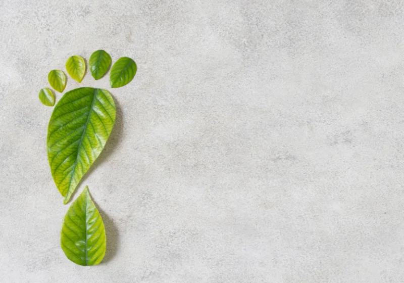 An image of several leaves, combining together to form a green foot